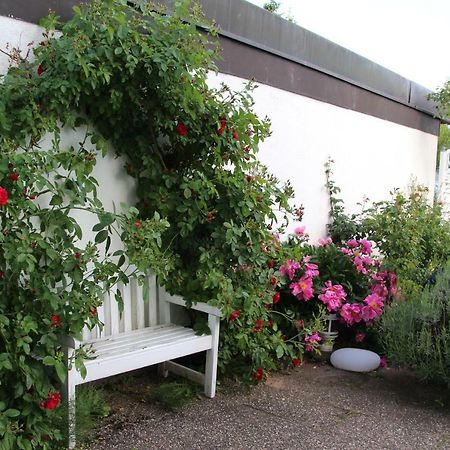 Schöne Zimmer im Zentrum Leben Offenburg Exterior foto